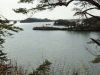 img0005.jpg