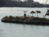 img0007.jpg