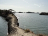 img0011.jpg