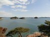 img0029.jpg
