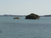 img0031.jpg
