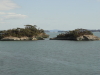 img0034.jpg