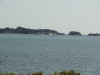 img0037.jpg