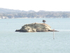 img0040.jpg