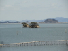 img0047.jpg