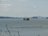 img0048.jpg