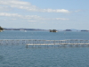 img0058.jpg