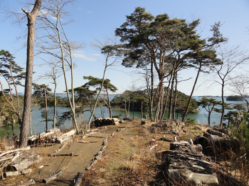 img0019.jpg