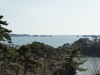img0004.jpg