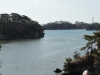 img0009.jpg