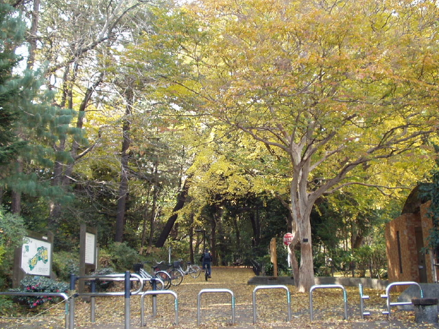 img0000.jpg