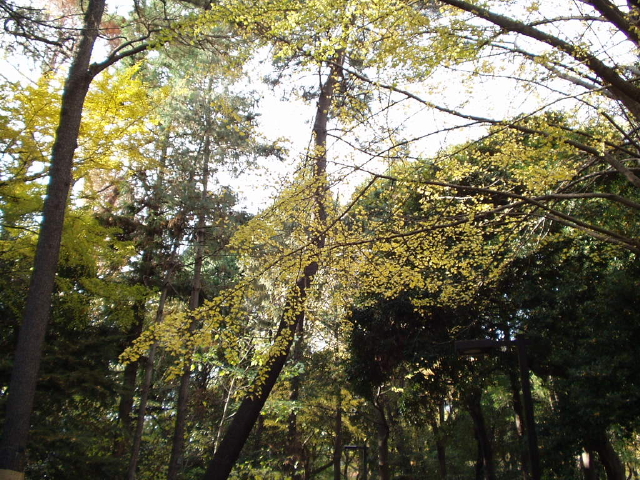 img0001.jpg