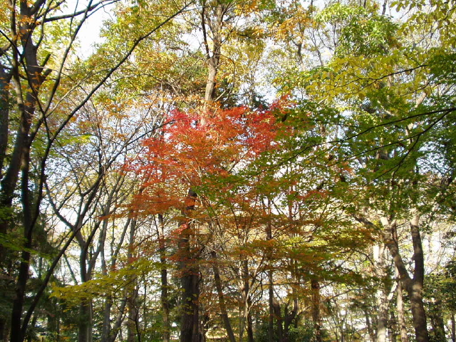 img0003.jpg