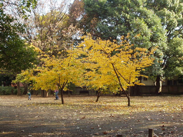 img0004.jpg