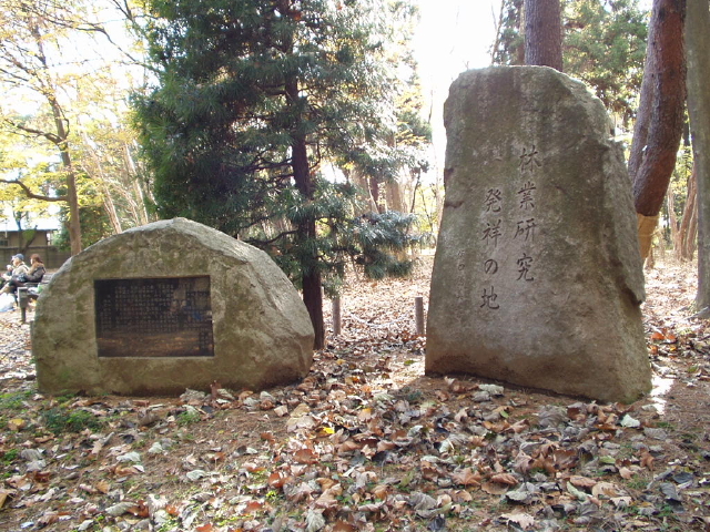 img0005.jpg
