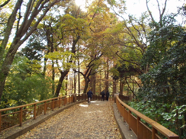 img0006.jpg