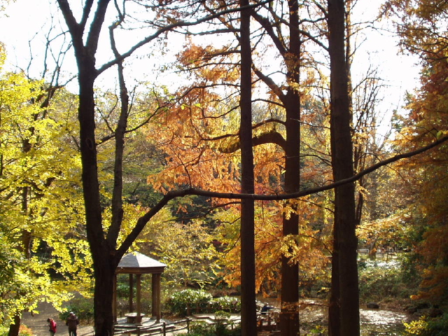 img0007.jpg