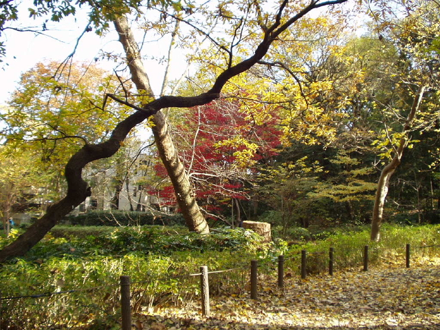 img0009.jpg