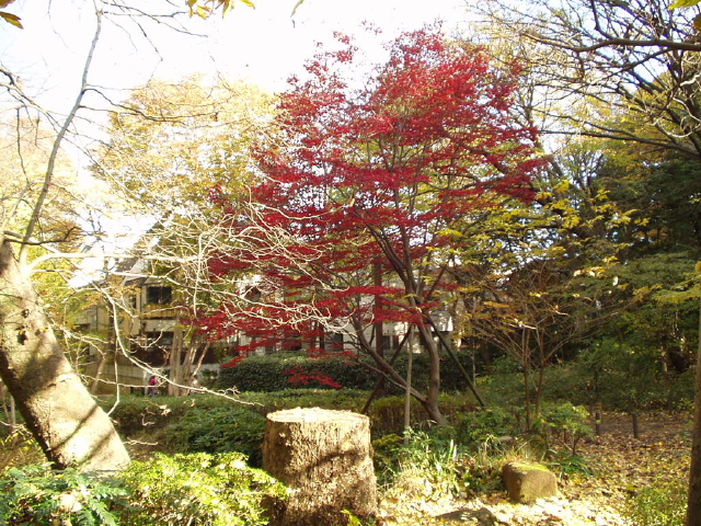 img0010.jpg