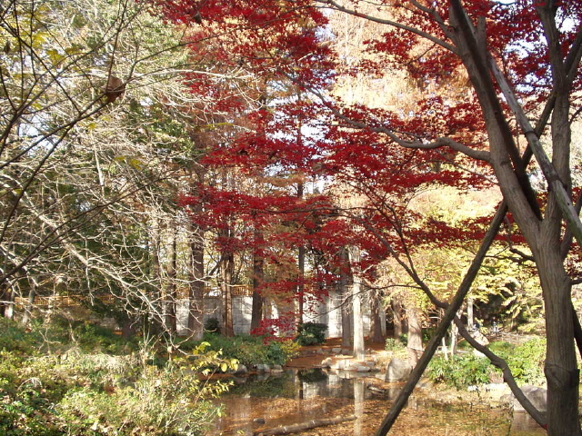 img0011.jpg
