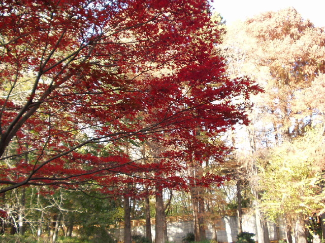 img0012.jpg