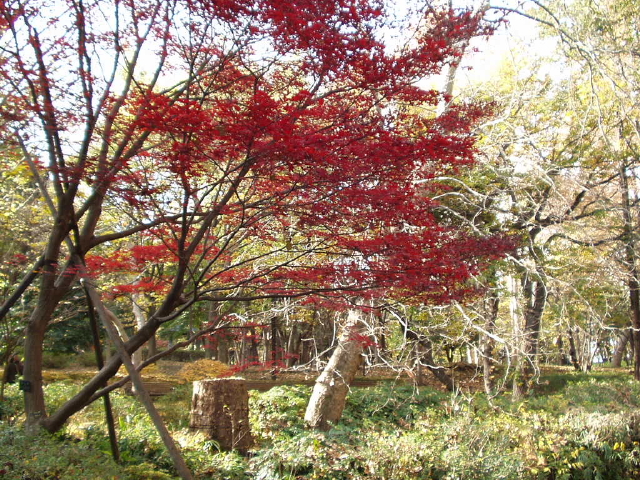 img0013.jpg