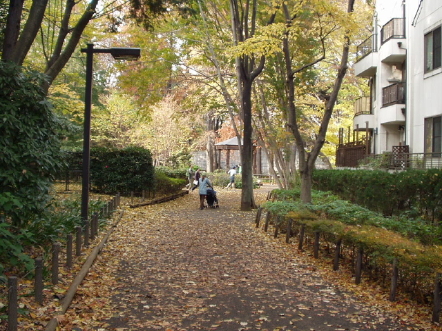 img0016.jpg