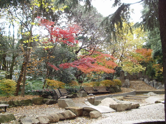 img0018.jpg