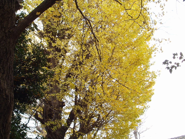 img0021.jpg