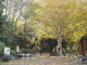 img0000.jpg