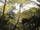 img0001.jpg