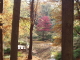 img0008.jpg