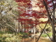 img0011.jpg