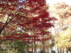 img0012.jpg