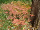 img0017.jpg