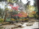 img0018.jpg