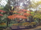 img0019.jpg