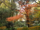 img0020.jpg