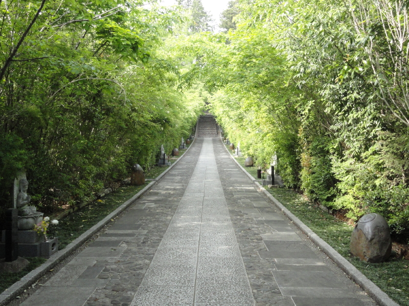 img0003.jpg