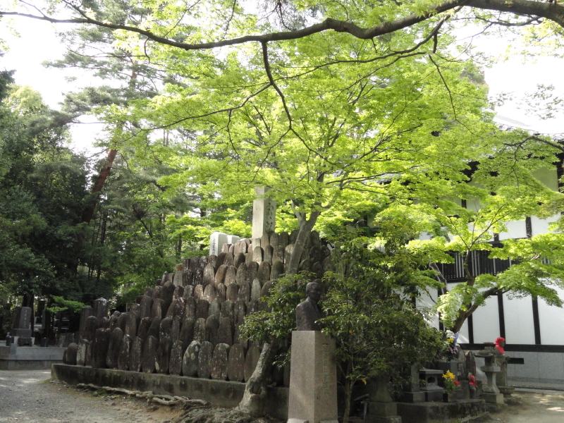 img0007.jpg