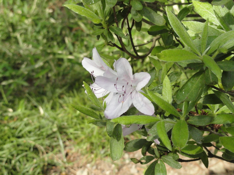 img0026.jpg