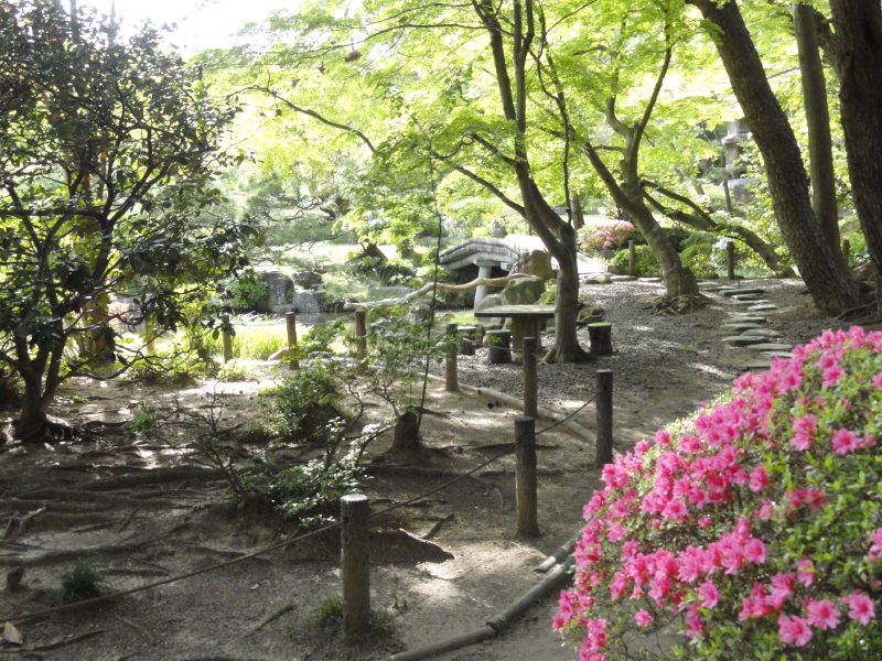 img0027.jpg