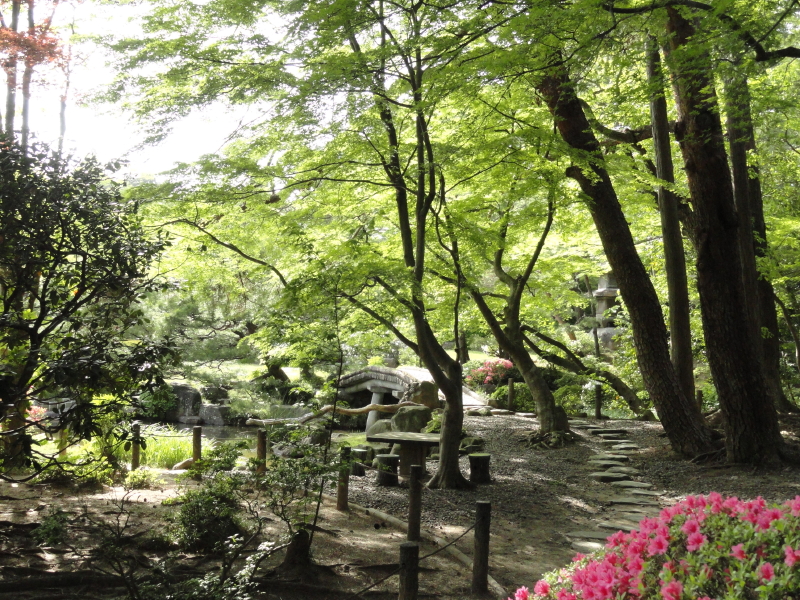 img0028.jpg