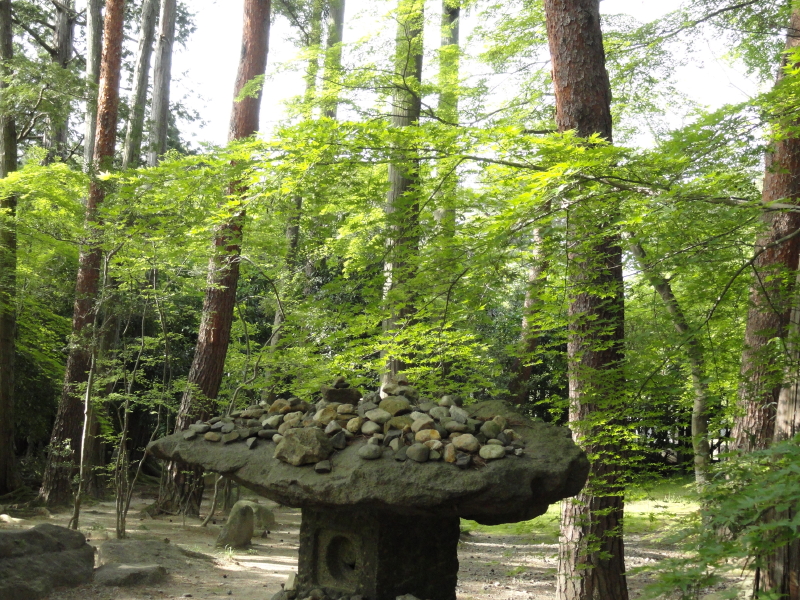 img0030.jpg