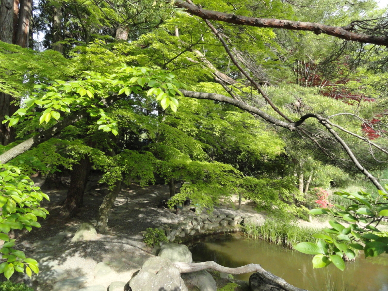img0035.jpg