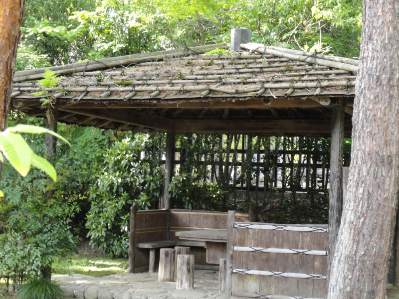 img0041.jpg