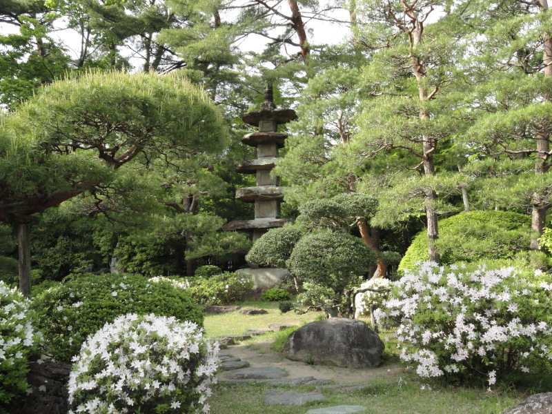 img0044.jpg