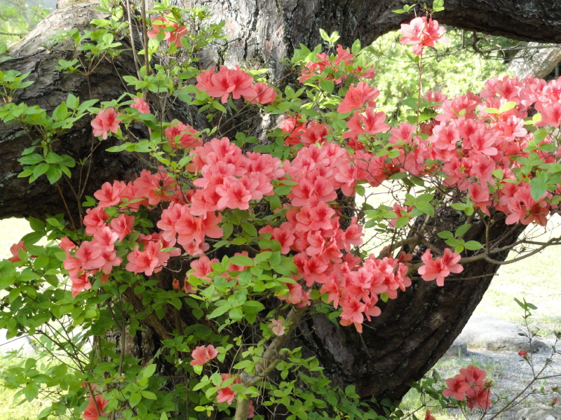img0045.jpg