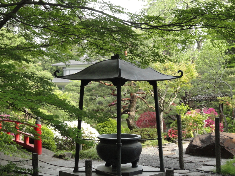 img0053.jpg