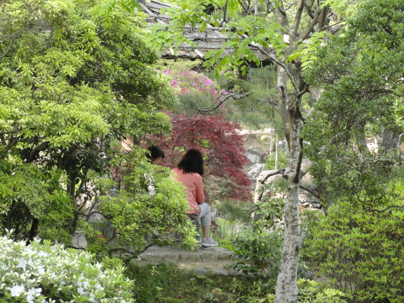 img0060.jpg